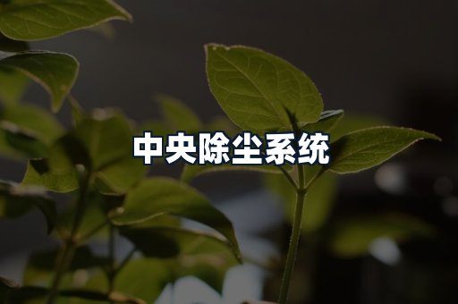中央除尘系统